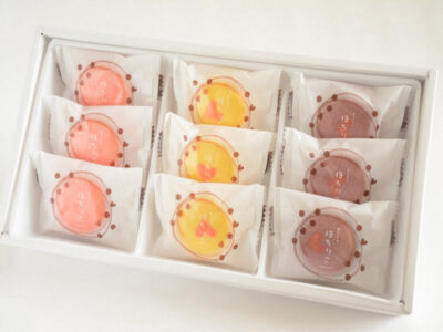 信濃の菓ぞえうた ほろりこ