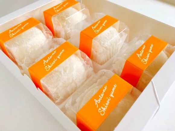 安田の白い夢開封後