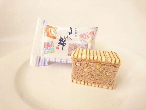 さが錦　アップ