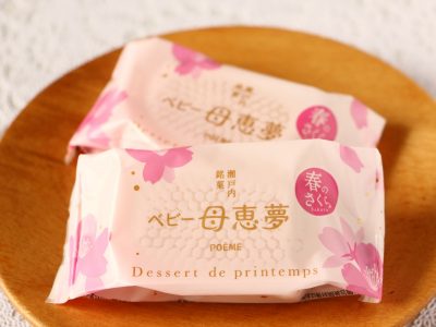 ベビー母恵夢 春の桜