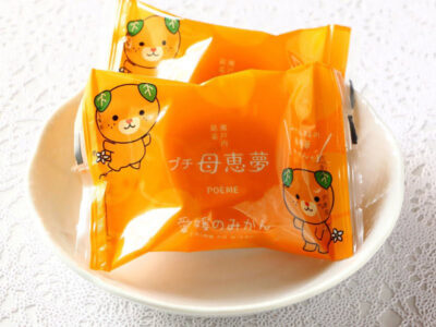 プチ母恵夢 愛媛のみかん