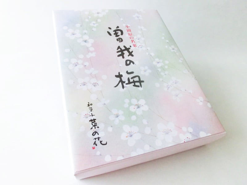 曽我の梅 外装