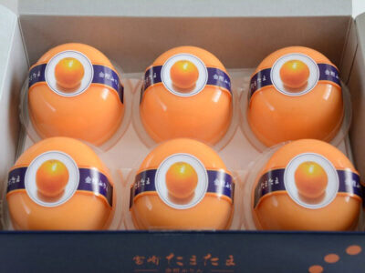 金柑ぷりん 宮崎たまたま