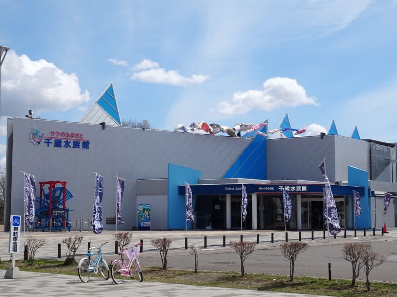 さけのふるさと千歳水族館