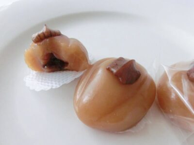 御菓子老舗ひろせ 笹ゆべし