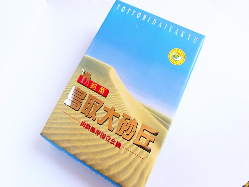 鳥取大砂丘の外観