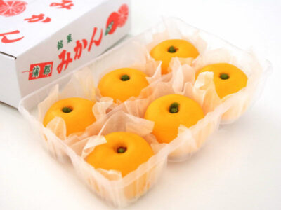 蒲郡銘菓 みかん