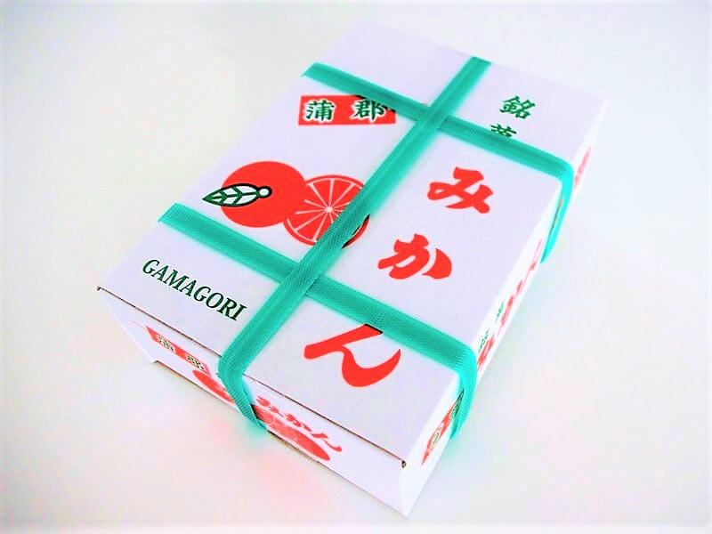 蒲郡銘菓みかん外装