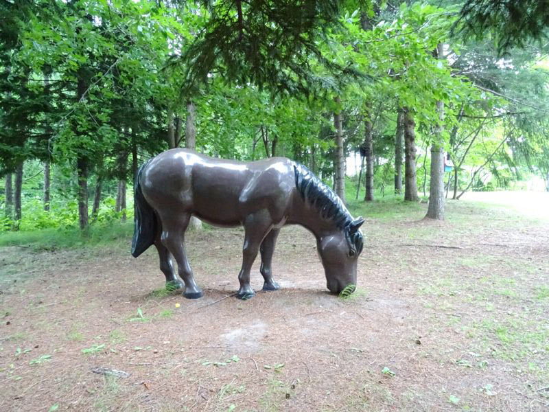 岩見沢SAの森の仔馬