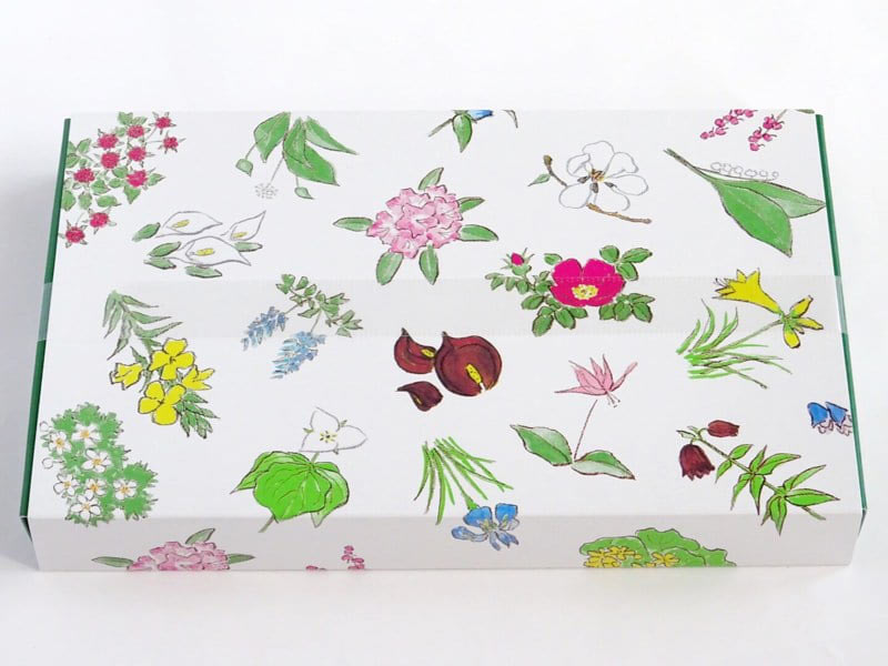 六花亭のチョコレートの外装