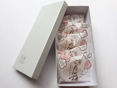 藤江屋分大 ざろん梅