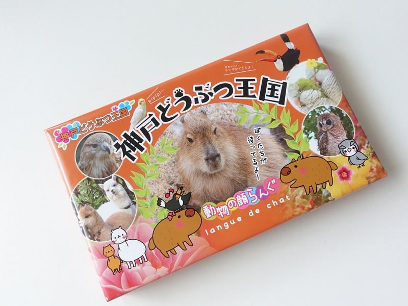 神戸どうぶつ王国動物の顔らんぐ外装