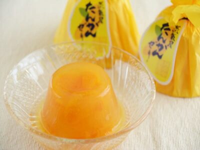 薩摩蒸氣屋 タンカンゼリー