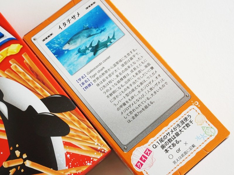 水族館限定プリッツ バター味裏面