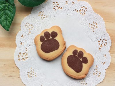 茶臼山動物園 こんにちはアニマルズ