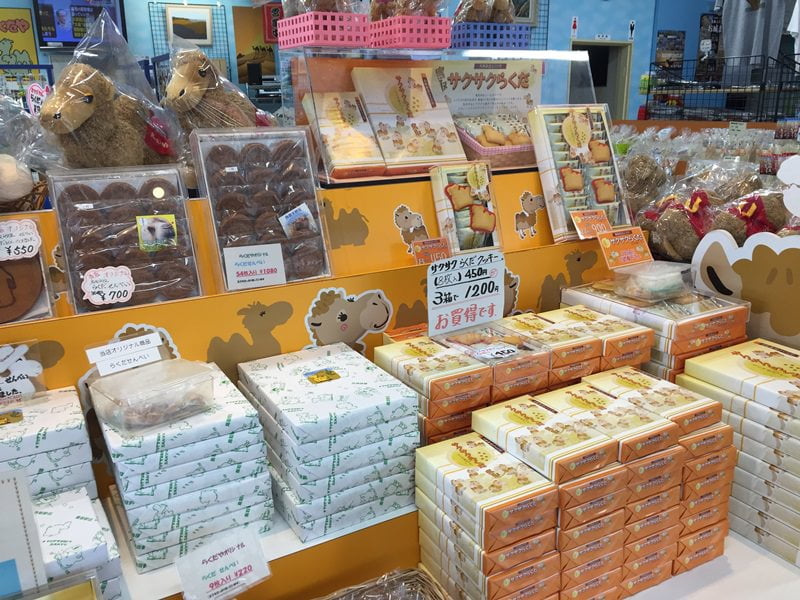 鳥取砂丘らくだや土産