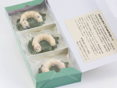 かいこの王国 お蚕様チョコレート