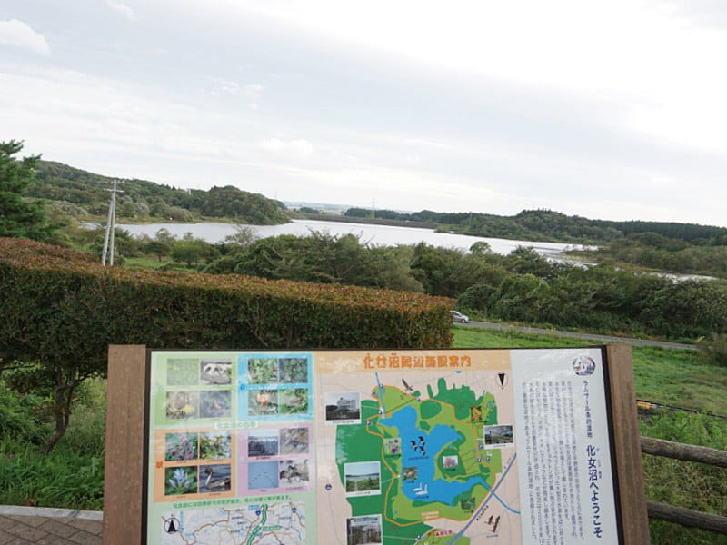 長者原サービスエリア湿原