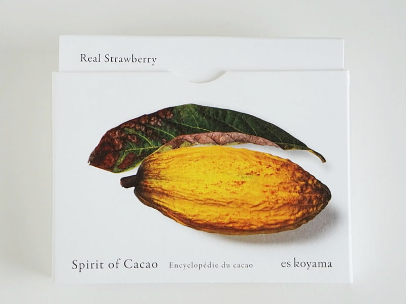エスコヤマ Encyclopedie du cacao リアルストロベリー外装