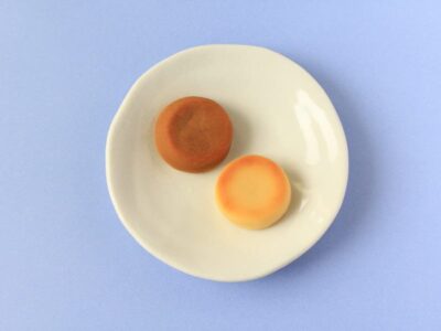 Satomi Fujita by KAMEYA YOSHINAGA ほのほの