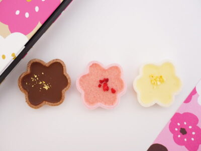 モロゾフ×SOU・SOU ひとひら