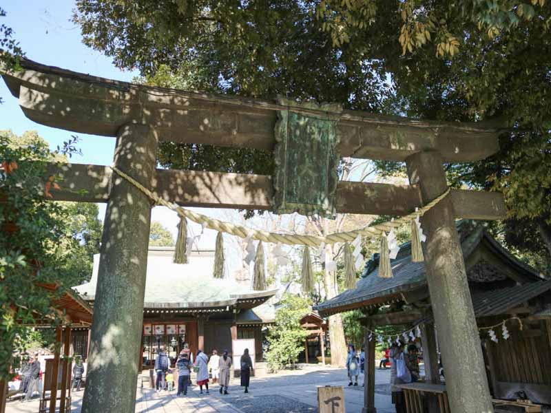 川越 氷川神社
