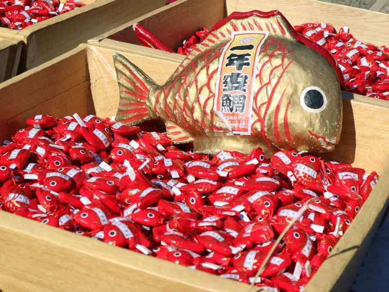 川越 鯛みくじ