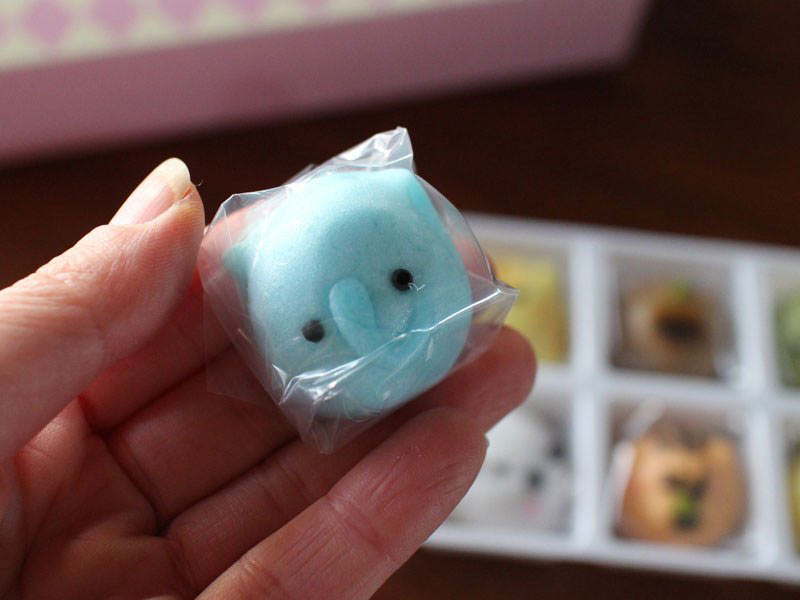 てづくりどうぶつえんチョコタイプをもった写真