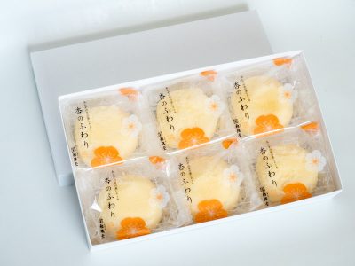 勉強堂 杏のふわり