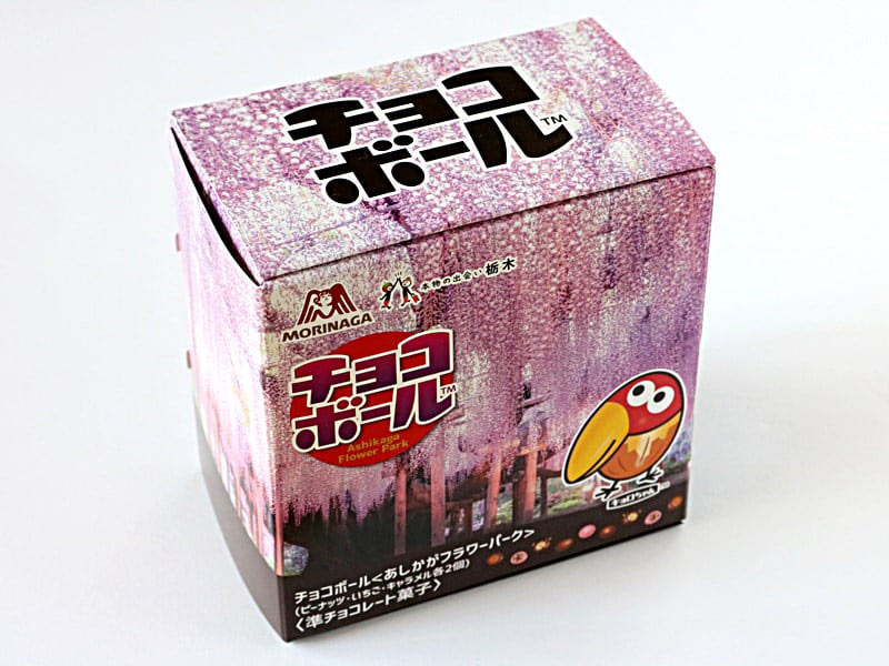 チョコボール＜あしかがフラワーパーク＞　外装写真