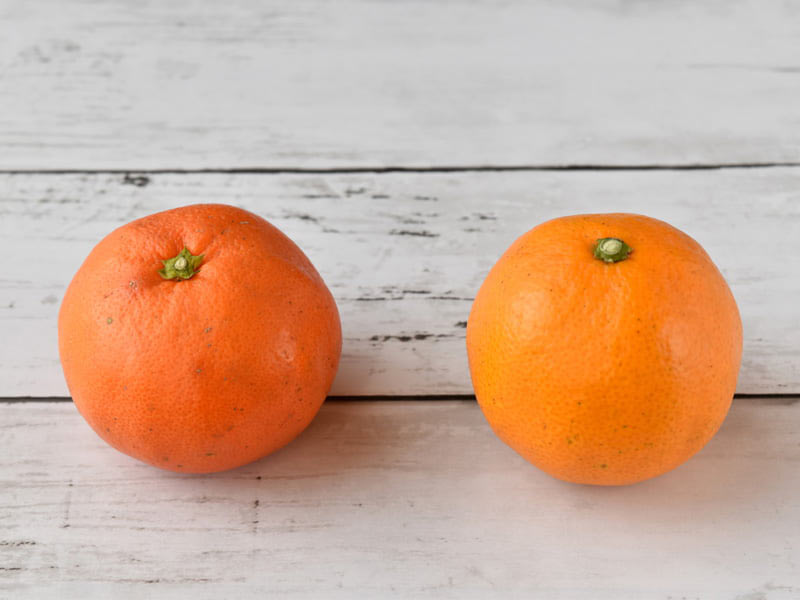 金時みかんと普通のみかん(フィナンシェ MANDEサヌキ)