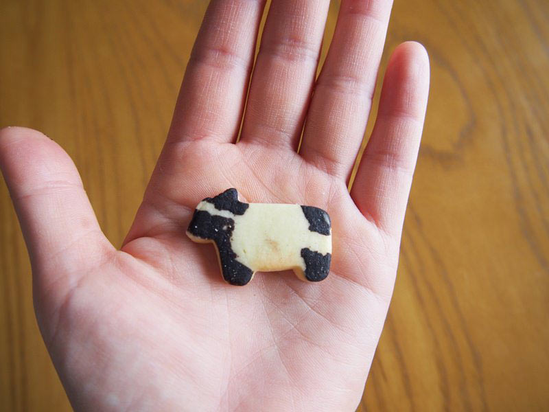 こっこうしサブレ　サイズ