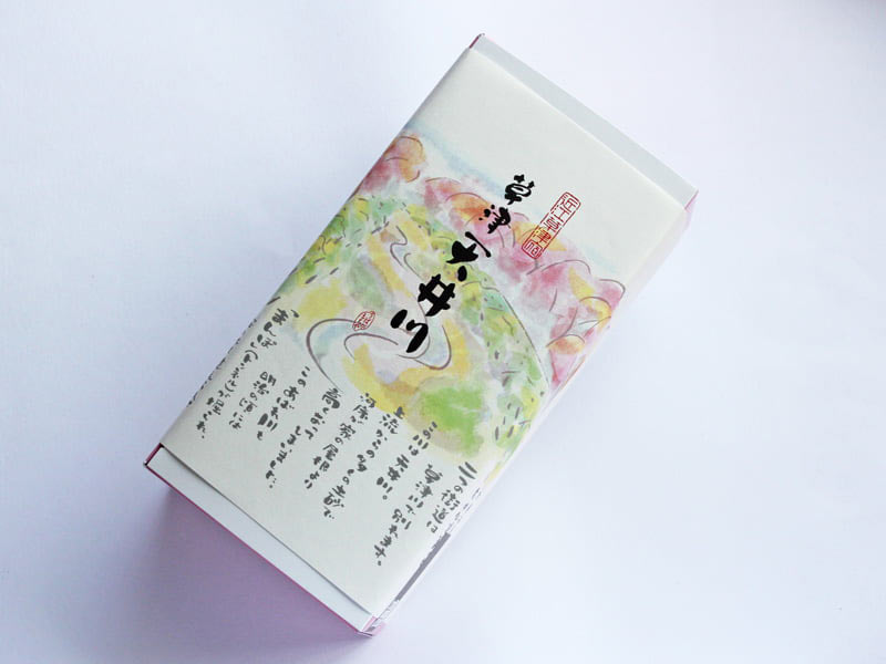草津天井川 さくら並木 外装