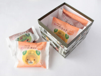 ひと切れ一六タルト「みきゃん・ダークみきゃん」【松山城箱】