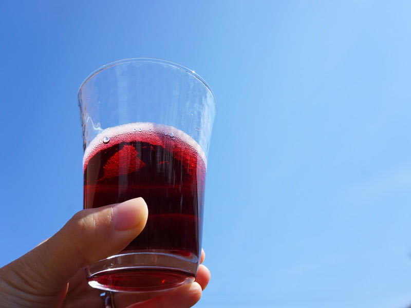 ツルヤ　信州コンコードスパークリング　中身アップ