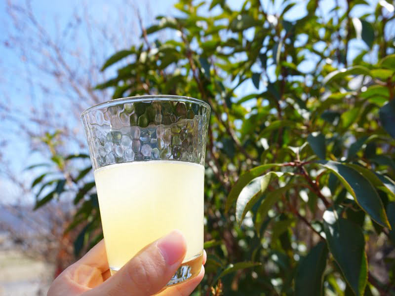 ツルヤ　信州りんごスパークリングジュース　中身の写真アップ