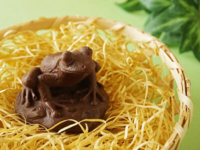 ZOOLOGY カジカガエルチョコレート