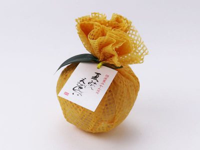 桂新堂  夏みかんえびせんべい