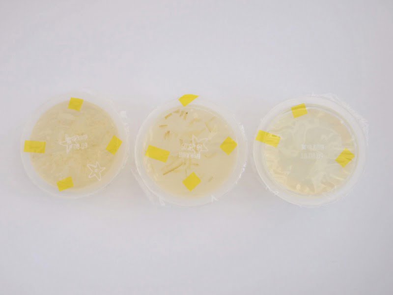 山のゼリー 開封写真2