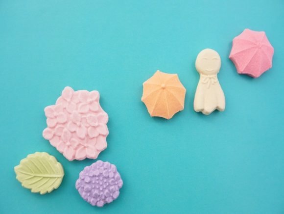 ばいこう堂　初夏の調べ　中身の写真