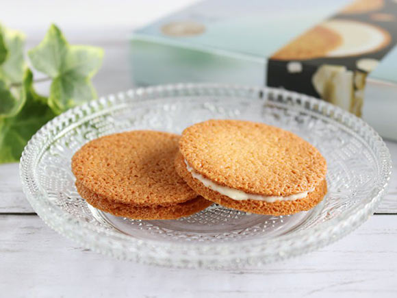 き花プティモ 　ホワイト　中身の写真