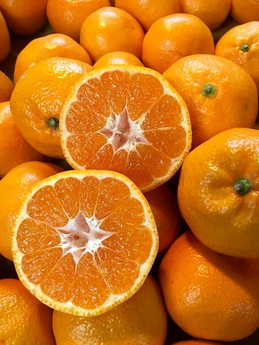 藤長農園の有田みかん 断面