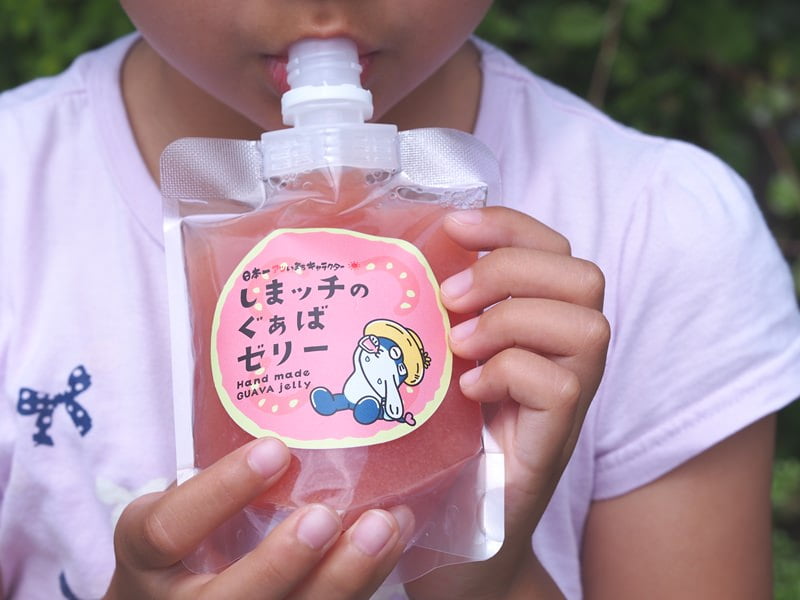 グアバゼリー 文中