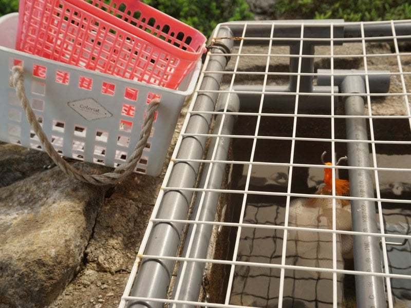 浅虫温泉街　温泉卵