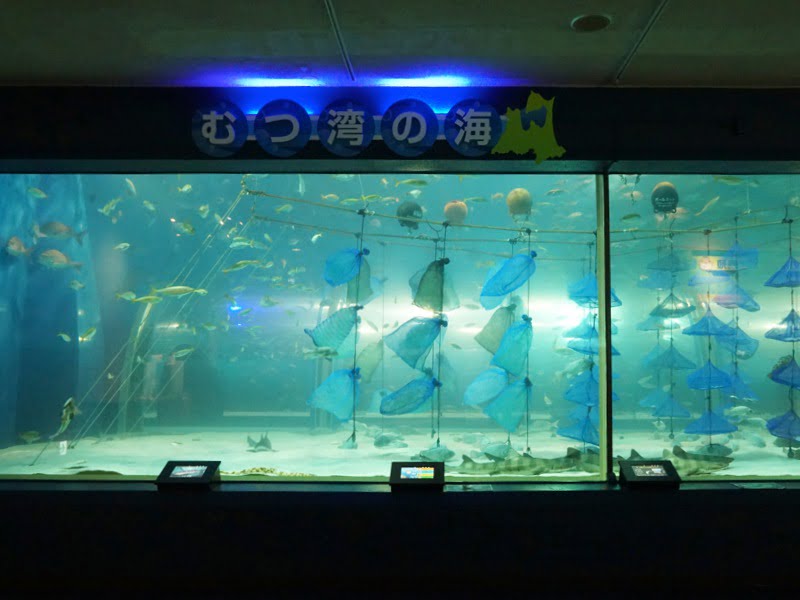浅虫水族館　むつ湾