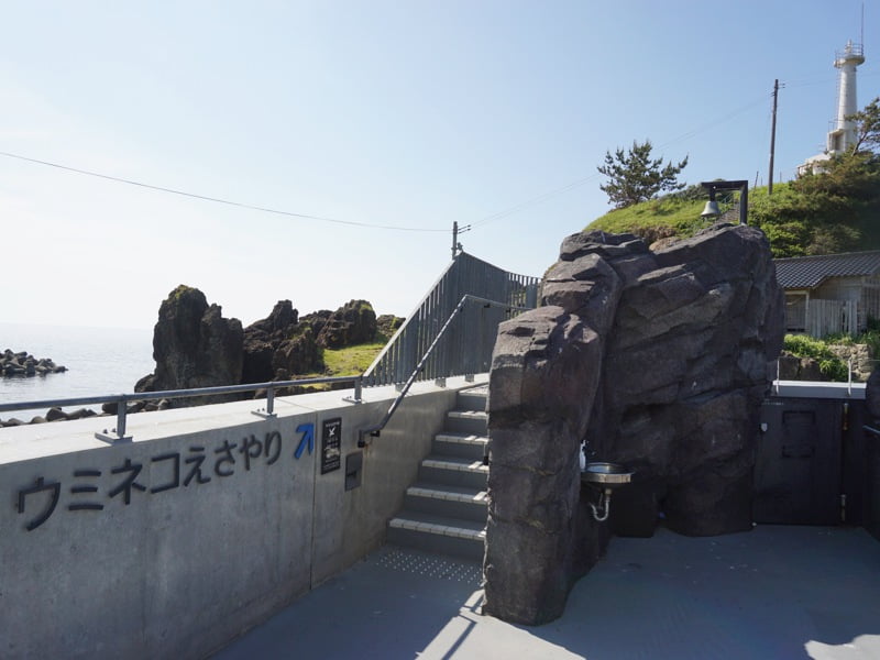 加茂水族館うみねこえさやり場