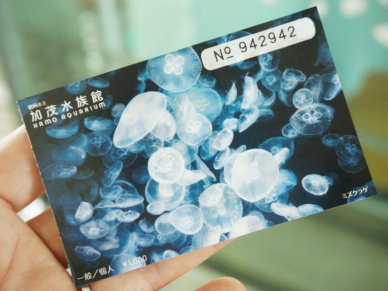 加茂水族館チケット