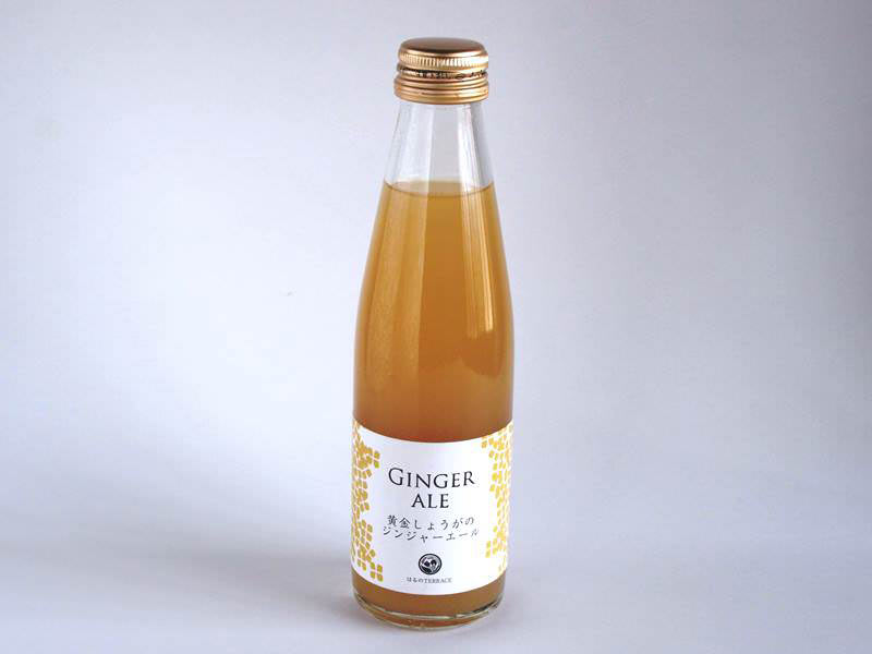 ジャンジャーエール 外装写真