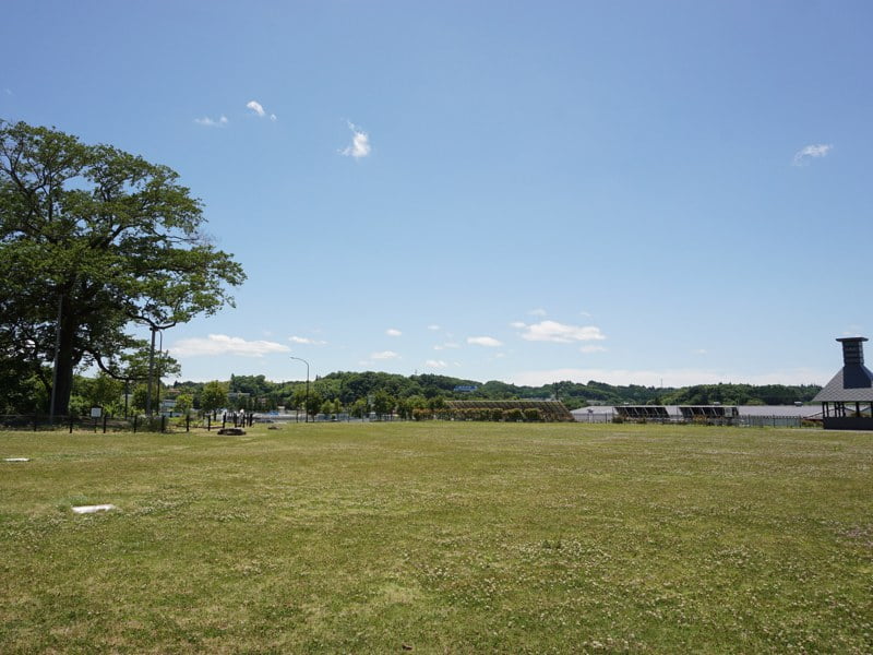 道の駅安達下り線芝生スペース