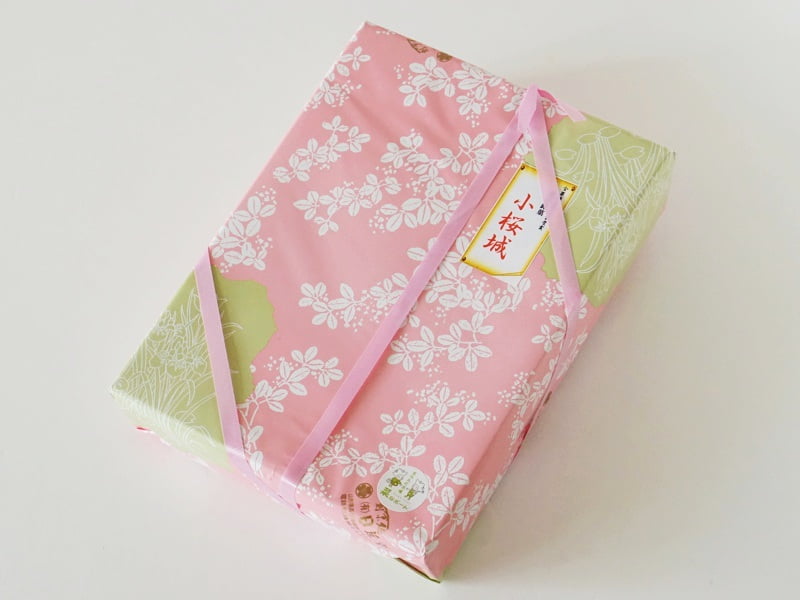 日進堂 小桜城外装
